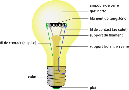 T bulb 300 watt