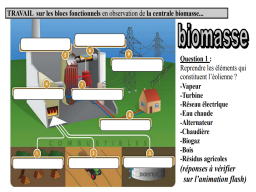 Diapo 11